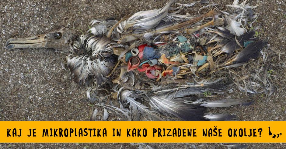 Kaj je mikroplastika in kako prizadene nase okolje