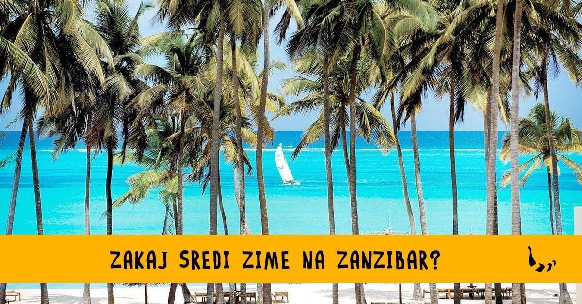 zanzibar_kajt