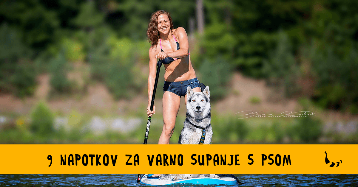 9 napotkov za varno supanje s psom