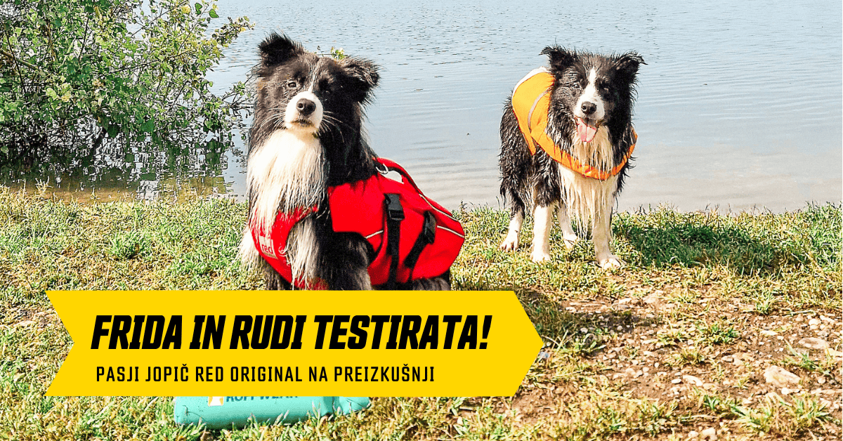 Kateri plavalni jopič izbrati