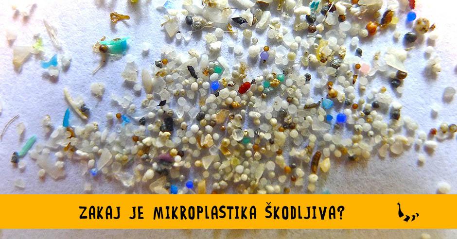 Zakaj je mikroplastika škodljiva? - Bananaway