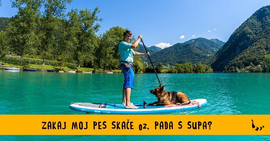 Zakaj moj pes skace-pada s supa