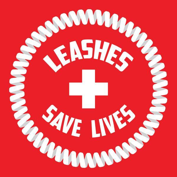 Red Paddle Co Coiled Leash