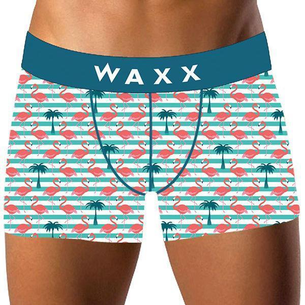 Spodnje hlače Waxx Birds, moške