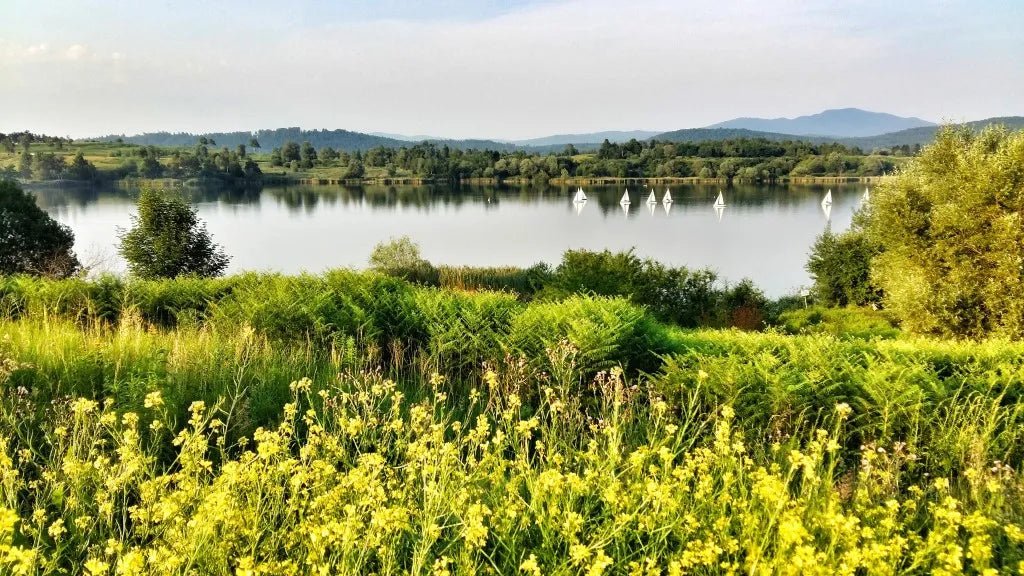Knjiga The Slovenia Lakes | Bananaway